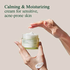 Pyunkang Yul Calming Moisture Barrier Cream Instantly Soothes Sensitive Skin (1.69 Fl. Oz, 50ml)