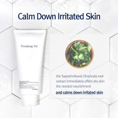 PYUNKANG YUL Cleansing Foam - 5.1 Fl. Oz