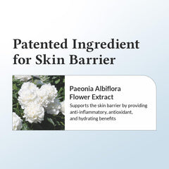 Dr.Althea 147 Barrier Cream | Daily Skin Barrier Care | Deep Hydrating with Hyaluronic Acid & Ceramides |1.7 Fl Oz