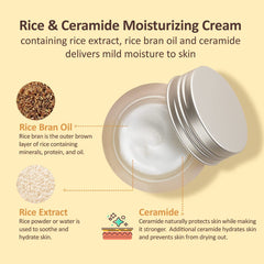 The Face Shop Rice Ceramide Moisturizing Cream