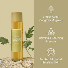 I'm From Mugwort Essence | Vegan Extract 5.4 Fl Oz, All Skin Types