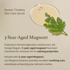 I'm From Mugwort Essence | Vegan Extract 5.4 Fl Oz, All Skin Types