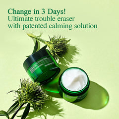 Pyunkang Yul Ultimate Calming Solution Cream for Sensitive Skin (1.01 Fl. Oz, 30ml)