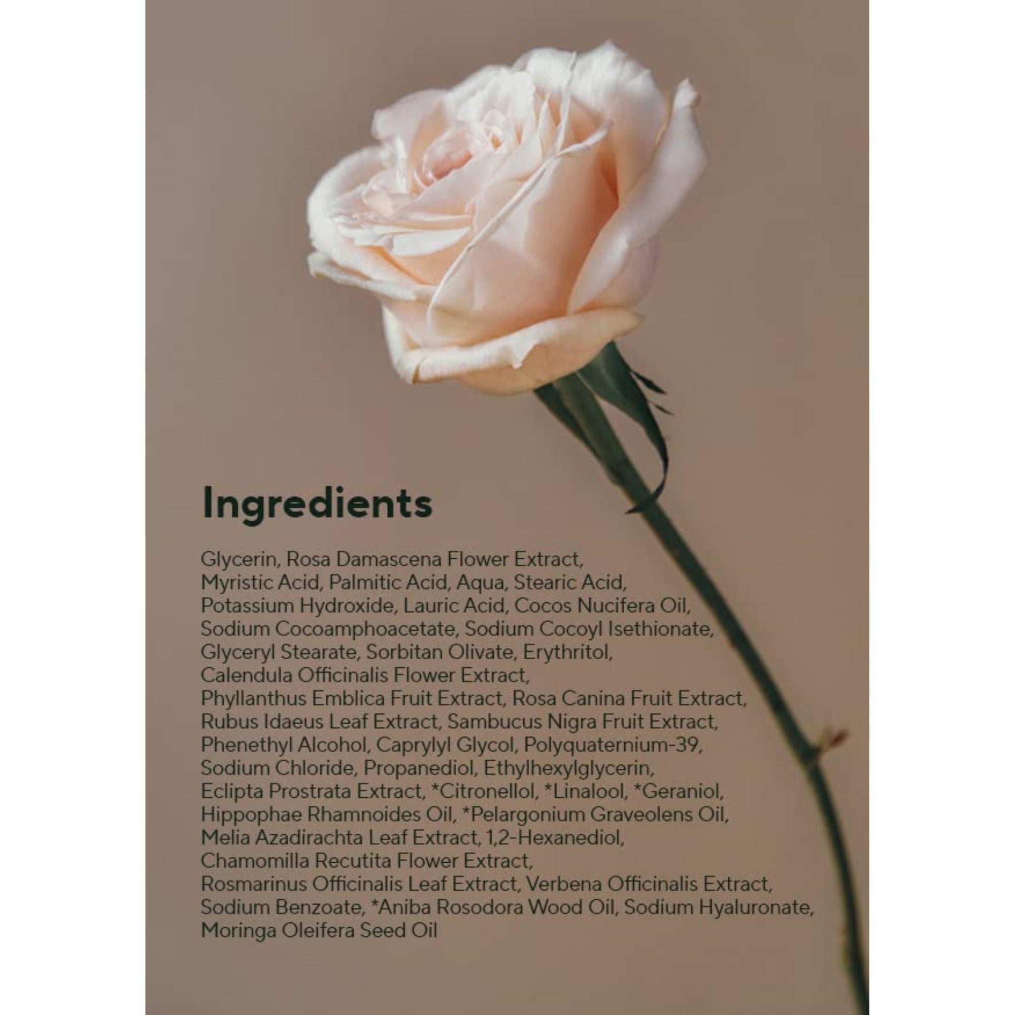 AROMATICA Reviving Rose Infusion Cream Cleanser 5.11oz /145g Double Cleanser